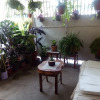 Отель Patio De Joan, фото 6