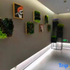 Отель Home Inn Selected Hotel (Wuyi Plaza, Qiyi Road, Zhoukou, фото 11