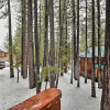 Отель Truckee Outdoorsy Retreat < 2 Mi to Donner Lake!, фото 17