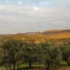 Отель Dar kaltoum, фото 12