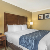 Отель Comfort Inn Sunnyvale - Silicon Valley, фото 6