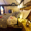 Отель Sahara Stars Camp, фото 7