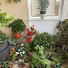 Отель Seafront apt With Terrace, 4 Bedrooms and Mooring, фото 1