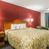 Отель Quality Inn & Suites, фото 4