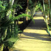 Отель Khankhew Resort, фото 2
