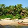 Отель Mangrove Lodge, фото 16