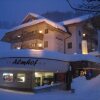 Отель Almhof Alpin Appartments & Spa, фото 1