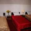 Отель Pensiunea Riccardo, фото 3