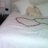 Отель Holiday Home 2 Bedrooms - Torre Del Greco, фото 1