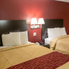 Отель RED ROOF INN & SUITES OCALA, фото 3