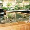 Отель Hakata Yufuin Takeo Onsen Manyo no Yu, фото 12