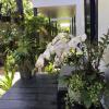 Отель Botanic Artistry Boutique Hotel & Garden, фото 13