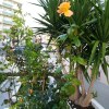 Отель Apartment With 2 Bedrooms in Almada, With Enclosed Garden and Wifi - 8, фото 14