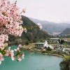 Отель Takato Sakura Hotel, фото 18