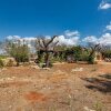 Отель 2072 Trulli li Corsari - Trullo Piccolo by Barbarhouse, фото 18