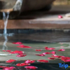 Отель Bolian Resort & SPA, фото 18