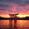Отель Miyajima Guest House Mikuniya, фото 37