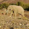 Отель Sanbona Wildlife Reserve, фото 18