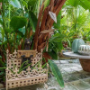 Отель The Secret Garden - The Cottage Near Beach, Shops, Restaurants, Pet Friendly, Close to Lucerne Ave!, фото 15