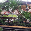 Отель Petchkiri Homestay, фото 7