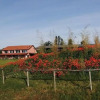 Отель Agriturismo Podere Amati, фото 15