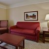 Отель Holiday Inn Express Hotel & Suites San Dimas, an IHG Hotel, фото 21