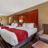 Отель Comfort Suites Delavan - Lake Geneva Area, фото 35