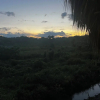 Отель Dominican Jungle Resort, фото 1