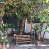 Отель Pousada Cultura Açoriana, фото 22