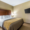Отель Comfort Inn Naples East I-75, фото 28