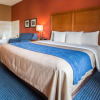 Отель Comfort Inn Crystal Lake - Algonquin, фото 3
