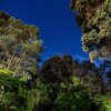 Отель Lokahi Lodge, фото 23