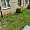 Отель Immaculate 1-bed Apartment in Borehamwood, фото 7