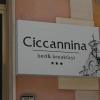 Отель B&B Ciccannina, фото 1