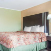 Отель Amherst Inn & Suites, фото 5