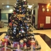 Отель Tien Thanh Hotel, фото 29