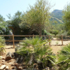 Отель Finca Roca Vista, фото 20