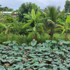 Отель Sen & Zen Villa Vũng Tàu, фото 9