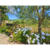 Отель Holiday house with stunning views over the countryside with private pool, фото 17