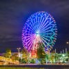 Отель Asakusa Town Hotel, фото 9