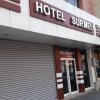 Отель Diyarbakir Hotel Surmeli, фото 10