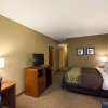 Отель Comfort Inn & Suites, фото 3