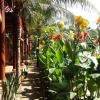 Отель Coconut Homestay, фото 39