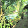 Отель Zea Za Garden, фото 22