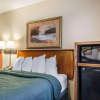 Отель Quality Inn & Suites, фото 6