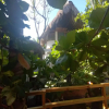 Отель BAMBU Ecocabanas, фото 21