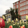 Отель Carikci Hotel, фото 15