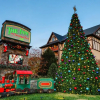 Отель The Inn at Christmas Place, фото 38