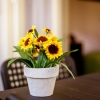 Отель Rosário Apartments by Porto City Hosts, фото 12