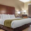 Отель Comfort Inn Duncansville - Altoona, фото 28